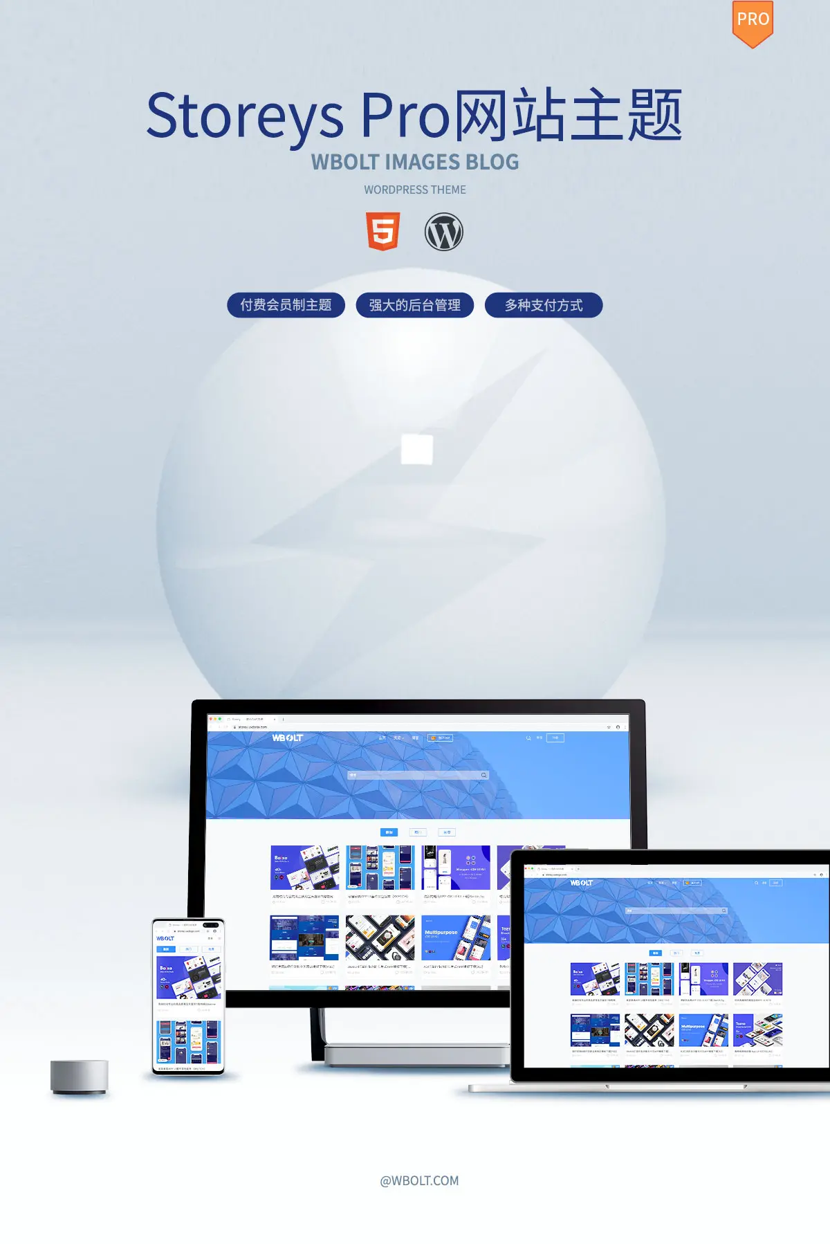 Storeys Pro -付费会员制WordPress资源站主题