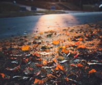 博客社交分享综合插件 - wordpress打赏,点赞,微海报,社交分享插件