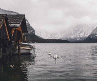 PluginUpload - Typecho插件后台上传插件