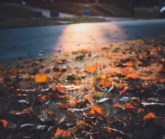 博客社交分享综合插件 - wordpress打赏,点赞,微海报,社交分享插件