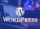 WordPress设置文章只允许搜索引擎查看插图 WordPress设置文章只允许搜索引擎查看-WP帮