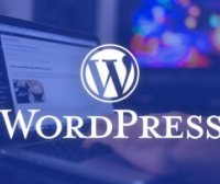 WordPress插件 WP-China-Yes 解决WordPress后台无法更新升级的问题
