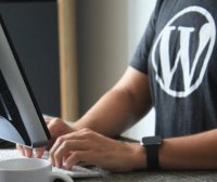 WordPress插件 Spider Analyser搜索引擎蜘蛛统计分析插件