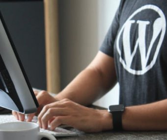 WordPress插件 Spider Analyser搜索引擎蜘蛛统计分析插件