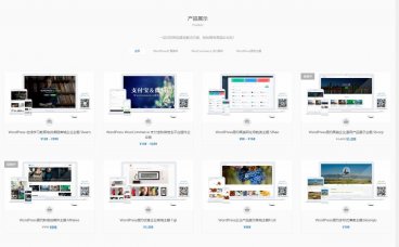 萨龙网络_国内WordPress 高端企业主题的的设计与开发企业