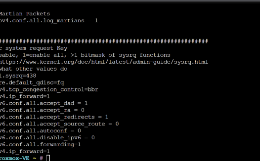 Hetnzer Proxmox 配置独立ipv6和ipv4 NAT
